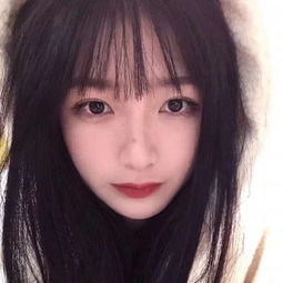 乐动体育app下载最新版